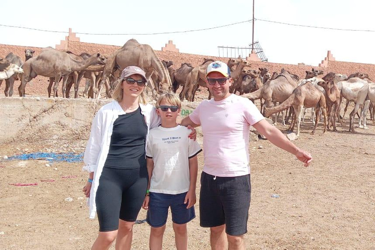 2-day tour: El Borj desert, Legzira, and Sidi Ifni from Agadir