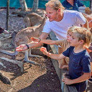 Port Douglas: Breakfast with the Birds and Koalas