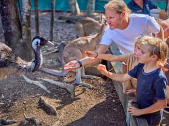 Port Douglas: Colazione con gli uccelli