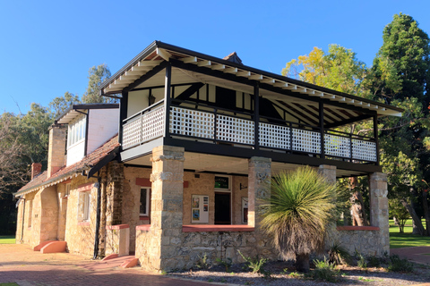 From Perth: Koala, Pinnacles Stargazing Day Tour