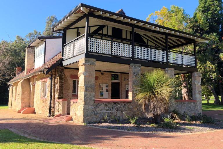 From Perth: Koala, Pinnacles Stargazing Day Tour