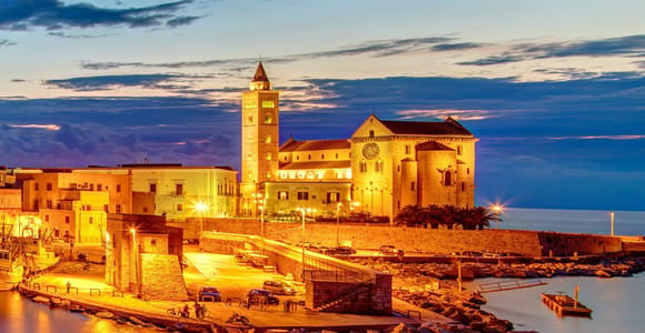 TRANI AND CASTEL DEL MONTE: guided visits and transfer from Matera