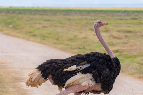Naivasha: Lago Naivasha e Parco Nazionale Hell's GateTour del lago Naivasha e dell'Hells Gate