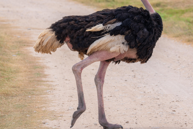 Naivasha: Lago Naivasha e Parco Nazionale Hell's GateTour del lago Naivasha e dell'Hells Gate