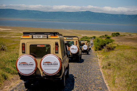 Ngorongoro Conservation Area Day Trip