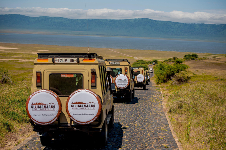 Ngorongoro Conservation Area Day Trip