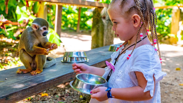 Adventure at Monkey Land Tours Punta Cana Safari With Pickup