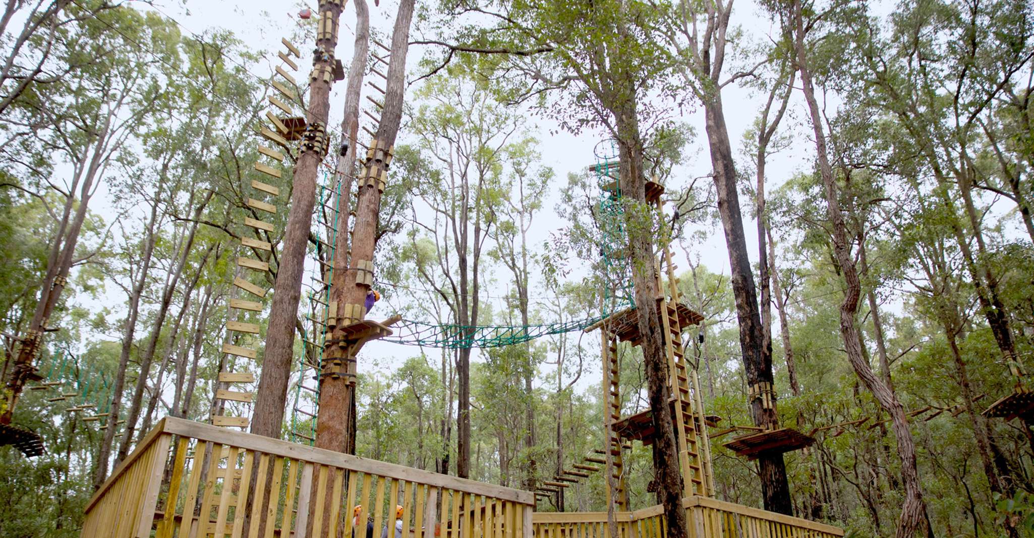 Dwellingup, Tree Ropes Course - Housity