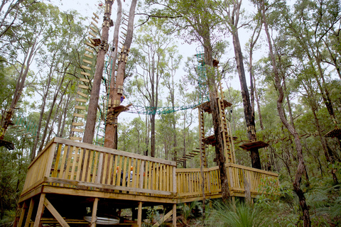 Dwellingup: Tree Ropes Course