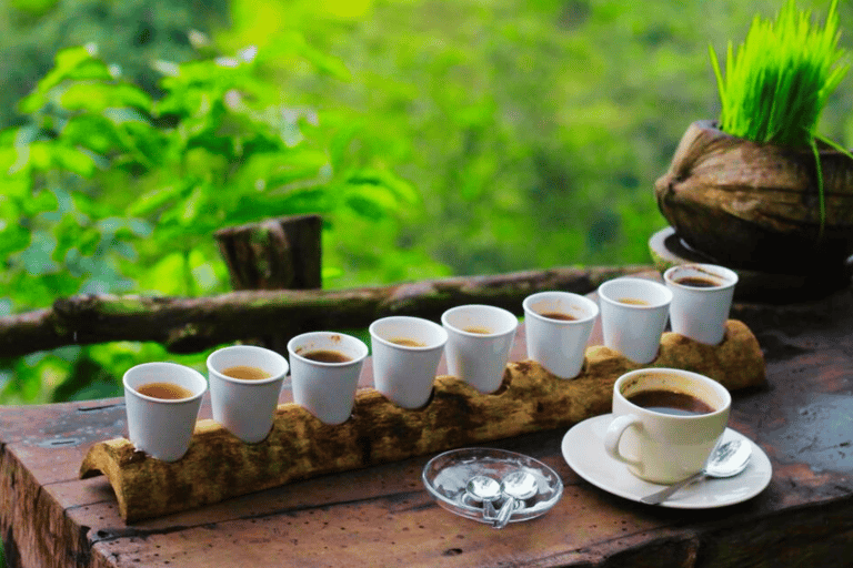 Bali: Ubud Rice Terraces, Monkey Forest & Waterfall Tour Full Package: All entry fees & lunch included