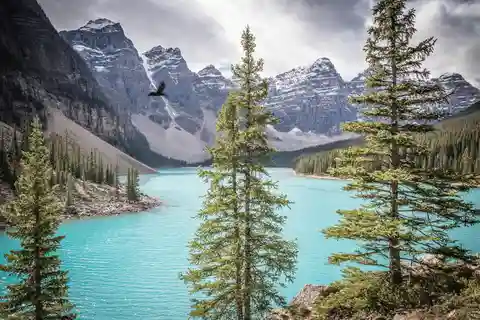 Banff: Experience Moraine, Louise & Peyto Lakes (2 Days)