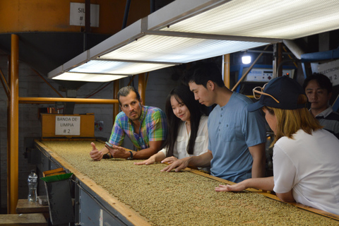 Coffee Experience: Processing, Tasting, and Visit to Alquimia Café Café Tour + Tasting Experience + Boquerón Park