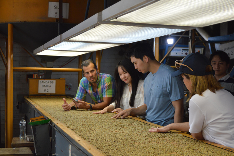 Coffee Experience: Processing, Tasting, and Visit to Alquimia Café Café Tour + Tasting Experience + Boquerón Park