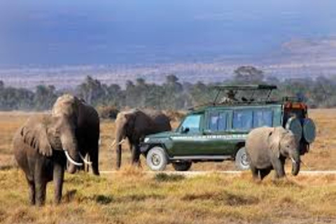 Nairobi: 5-Day Lake Nakuru, Lake Elementaita & Masai Mara …