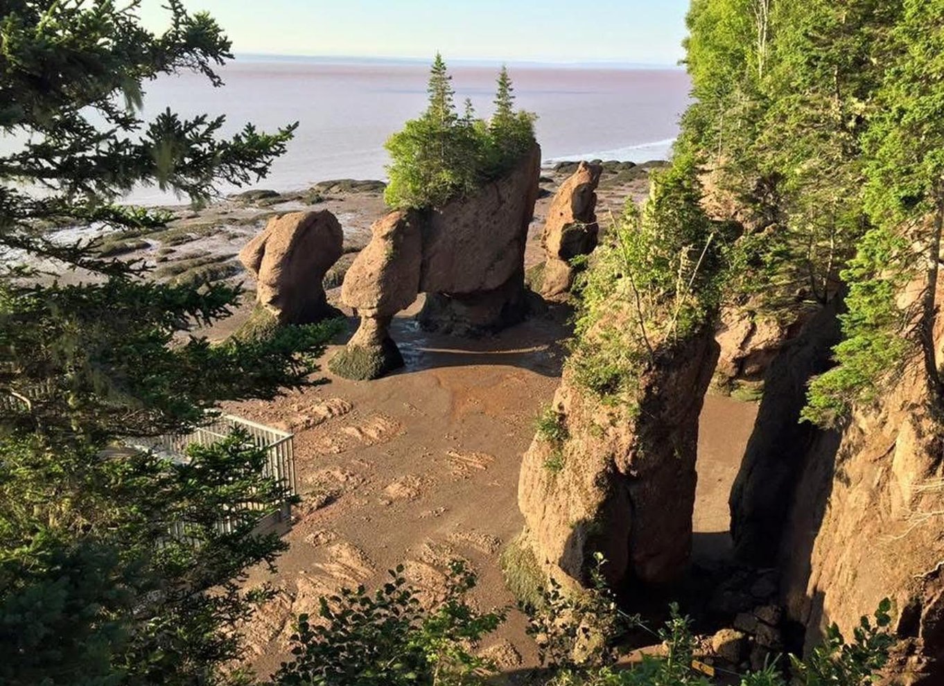 Moncton: Naturskøn shuttleoplevelse til Hopewell Rocks