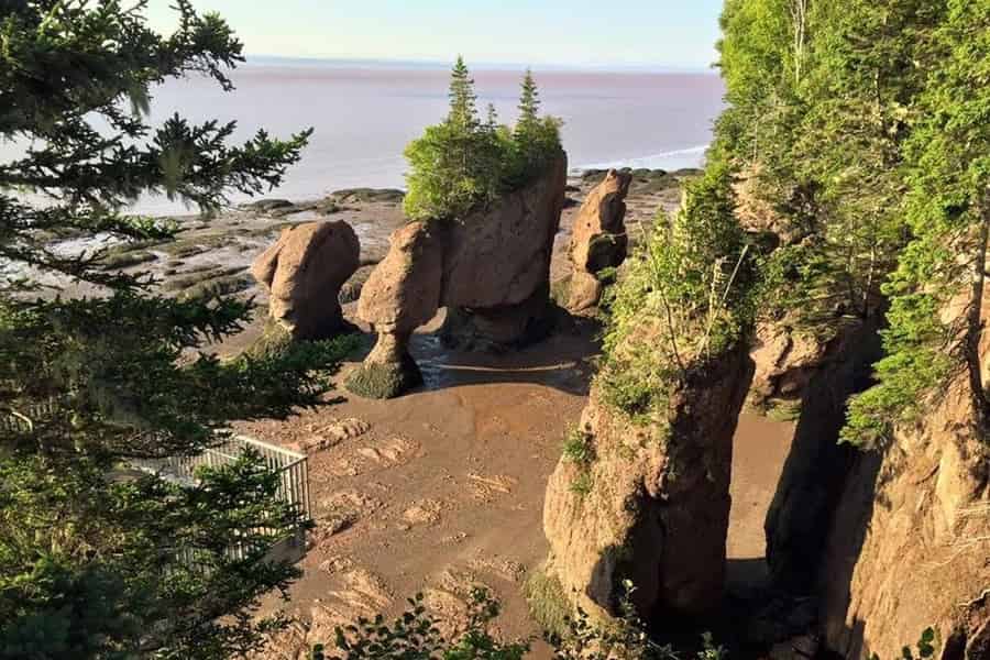 Hopewell Cape: Ebbe und Flut, Hopewell Rocks und Bay of Fundy. Foto: GetYourGuide Hopewell Cape: Ebbe und Flut, Hopewell Rocks und Bay of Fundy. Foto: GetYourGuide