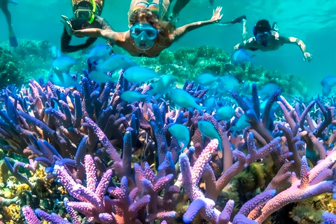 Beste snorkelavontuur op Bali met spannende activiteiten