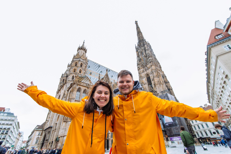 Cruzeiro pelo rio Viena, passeio a pé com a Catedral de St. Stephan3 horas e 15 minutos: passeio básico pela cidade velha e passeio de barco