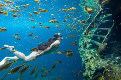 Riviera Maya: Yum-Ha, Luna, and Sombra Cenotes Tour