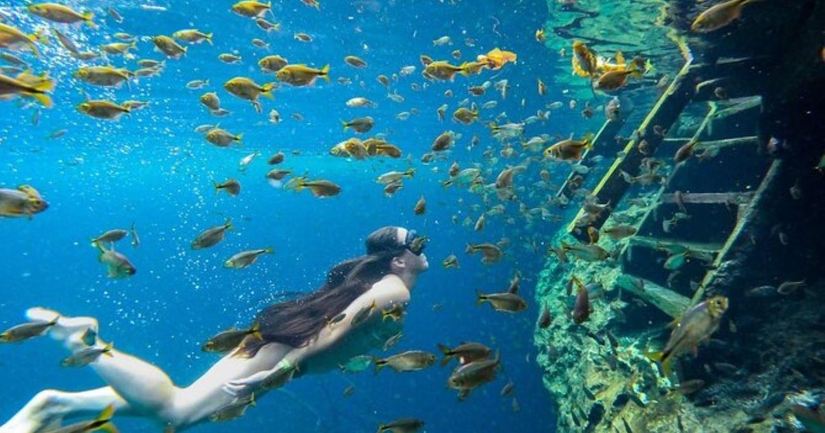Riviera Maya: Magical Cenotes Tour | GetYourGuide