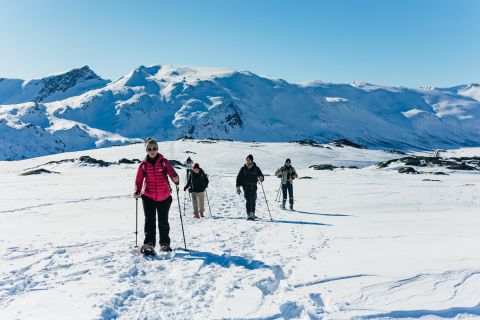 From Tromsø: Snowshoeing Hike with Picnic Lunch and Photos