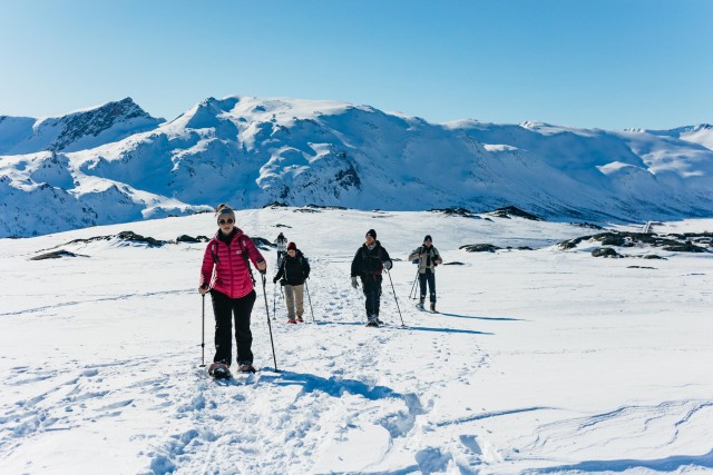 Visit From Tromsø Snowshoeing Hike with Picnic Lunch and Photos in Tromsø
