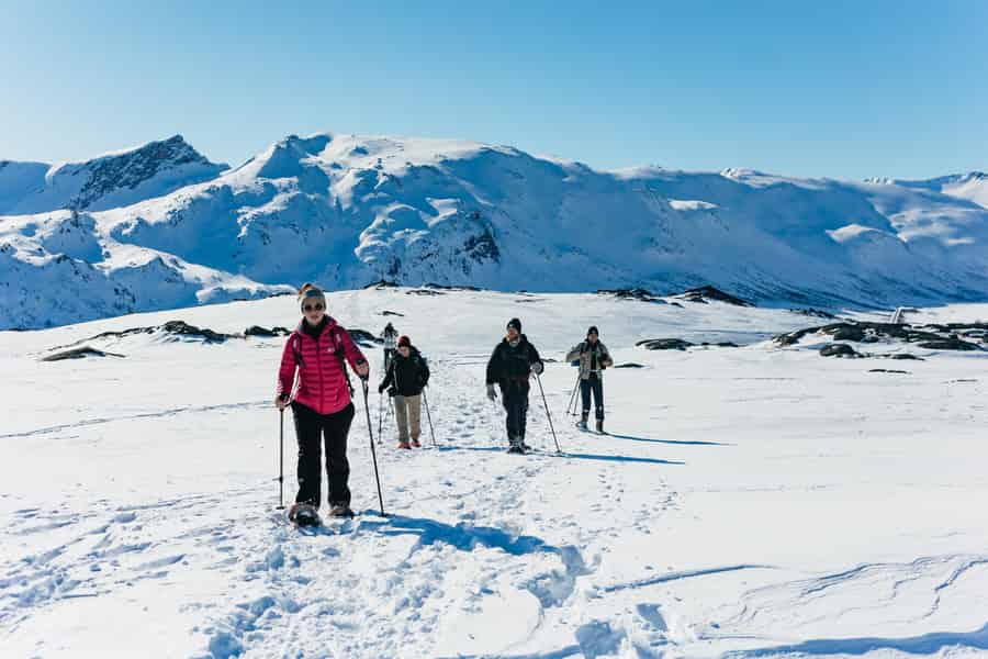 Von Tromsø: Schneeschuhwanderung mit Picknick-Mittagessen und Fotos. Foto: GetYourGuide