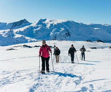 From Tromsø: Snowshoeing Hike with Picnic Lunch and Photos