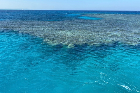 Marsa Alam: Rejs Nefertari Sunset Turtle Bay z kolacjąMarsa Alam: Nefertari Rejs po zatoce żółwia o zachodzie słońca z kolacją