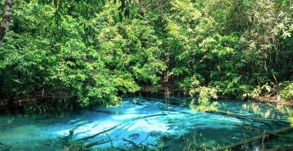 Krabi Emerald Pool, Hot Spring Waterfall & Jungle Activities