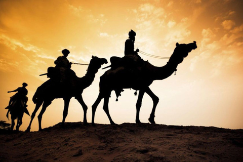 Camel ride tour in Palmerie of Marrakech Camel ride tour in Marrakech