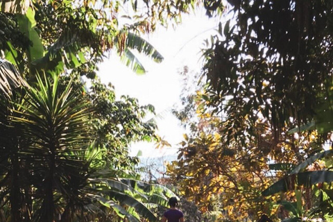 تجربة أنتيغوا غواتيمالا المتميزة + غداء