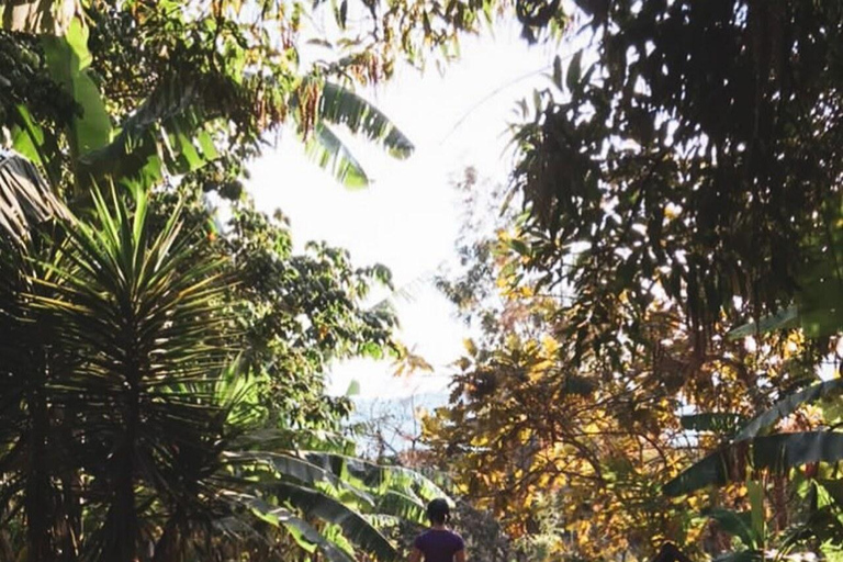 تجربة أنتيغوا غواتيمالا المتميزة + غداء