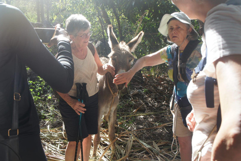 Santiago Island: Tarrafal Full-Day Tour with Lunch