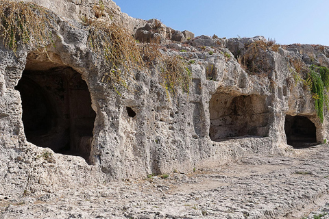 Desde Catania: tour cultural e histórico de Siracusa y Noto