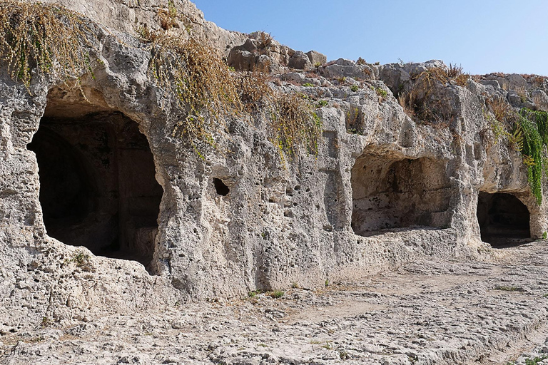 De Catane: visite culturelle et historique de Syracuse et Noto