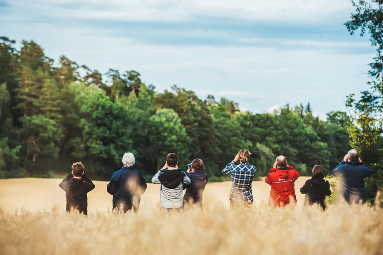 From Stockholm: Wildlife Safari with Campfire Dinner