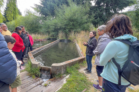 Bariloche: Andean Region Tour to El Bolsón & Lago Puelo