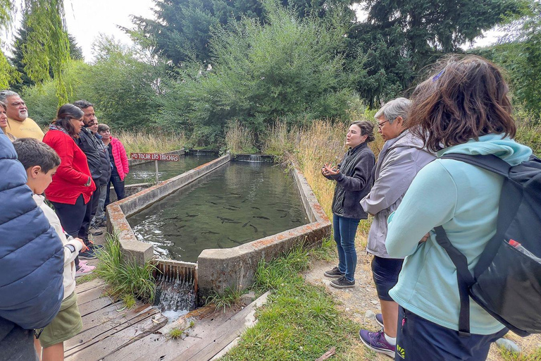 Bariloche: Andean Region Tour to El Bolsón & Lago Puelo