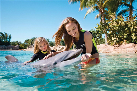 Alanya: Dolphin & Sea Lion Show with Hotel Transfers