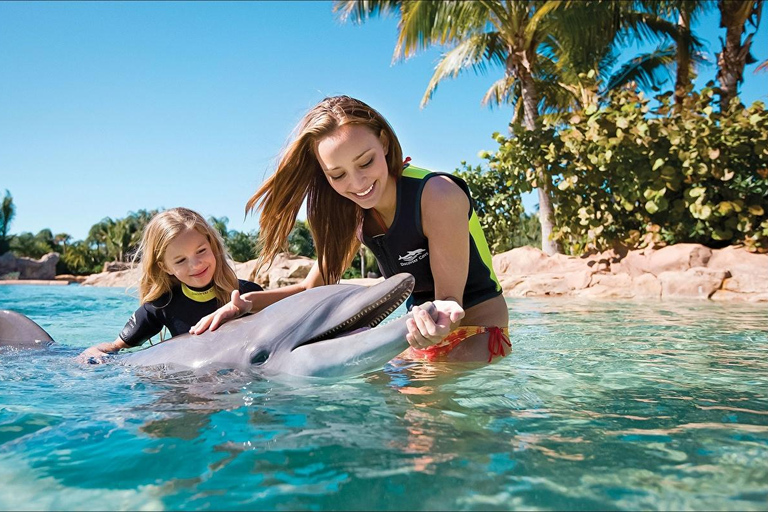 Alanya: Dolphin & Sea Lion Show with Hotel Transfers