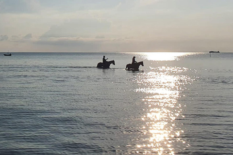 Viaggio a cavallo sulla spiaggia al tramonto di Phuket