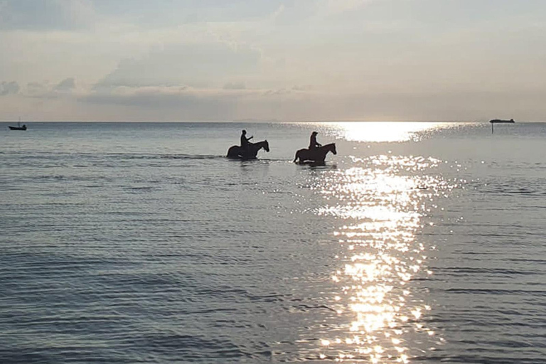 Excursion à cheval sur la plage du coucher du soleil de Phuket