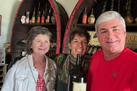 Winery & Vineyard Tour with Guided Tasting near Pisa Wine Tour in English