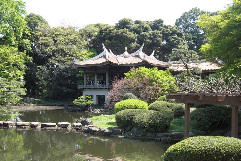Tokyo: Shinjuku Gyoen National Garden Guided Walking Tour Small Group Tour