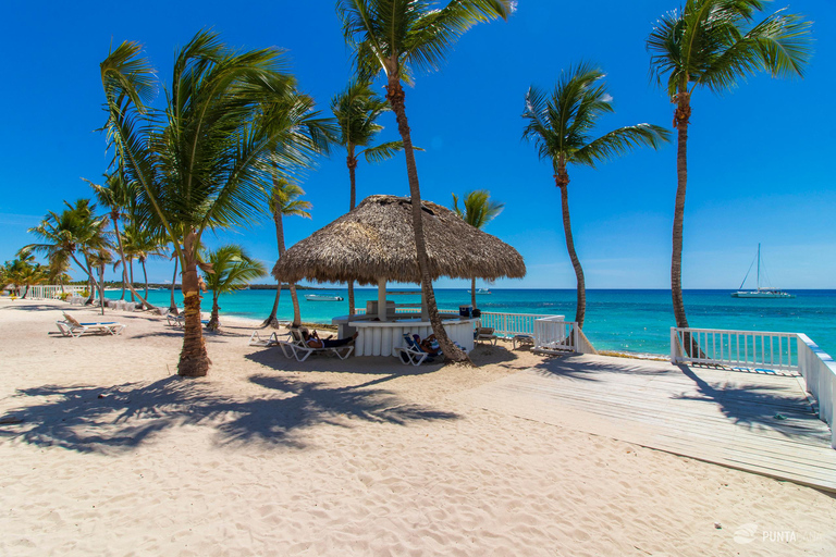 Excursión a la Isla Catalina: Barco, estancia en la playa, comida y bebidas gratis