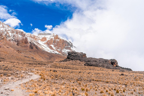 Kilimanjaro: 7-Day Lemosho Route Trek with Airport Transfers