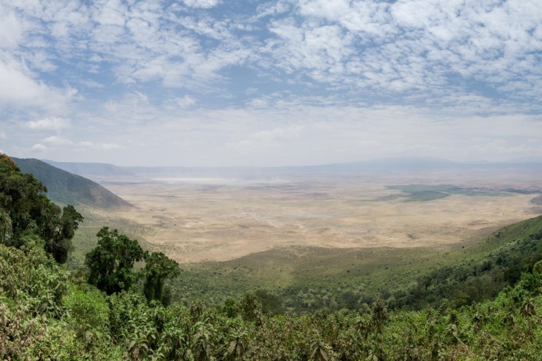 2 Wochen Tansania-Reise: 8 Tage Lemosho, Safari und Kultur.8 Tage klassische Lemosho-Route, Safari und kulturelles Erlebnis