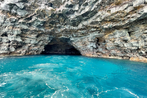 Isola di Faial: Tour unico in barca al vulcano Capelinhos