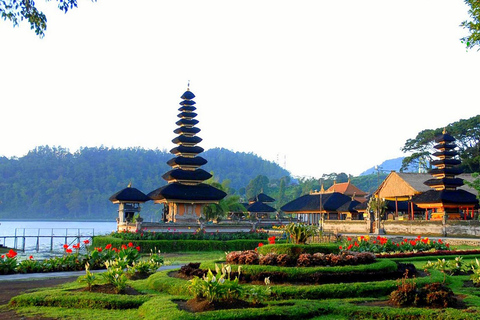 Bali: Tour privato dell&#039;Isola del Nord con cascata BanyumalaTour senza tasse d&#039;ingresso